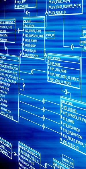 Database Consulting Services and Database Application Development