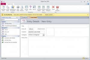 Digital Diary 2010 - Add New Entry Form