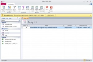 Digital Diary 2010 Database Application
