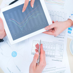 IT Consulting and Software Project Assessment